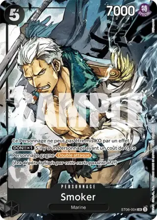 Smoker ST06-004