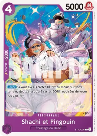 Shachi et Pingouin ST10-008